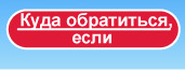 Куда обратиться, если